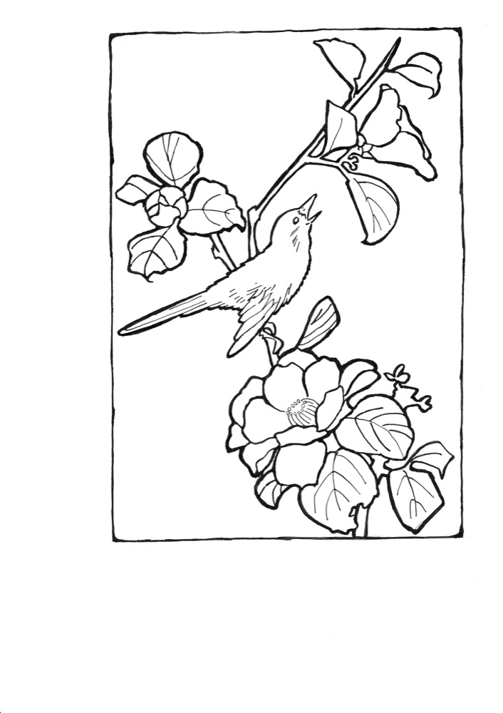 A songbird among camellias — coloring page